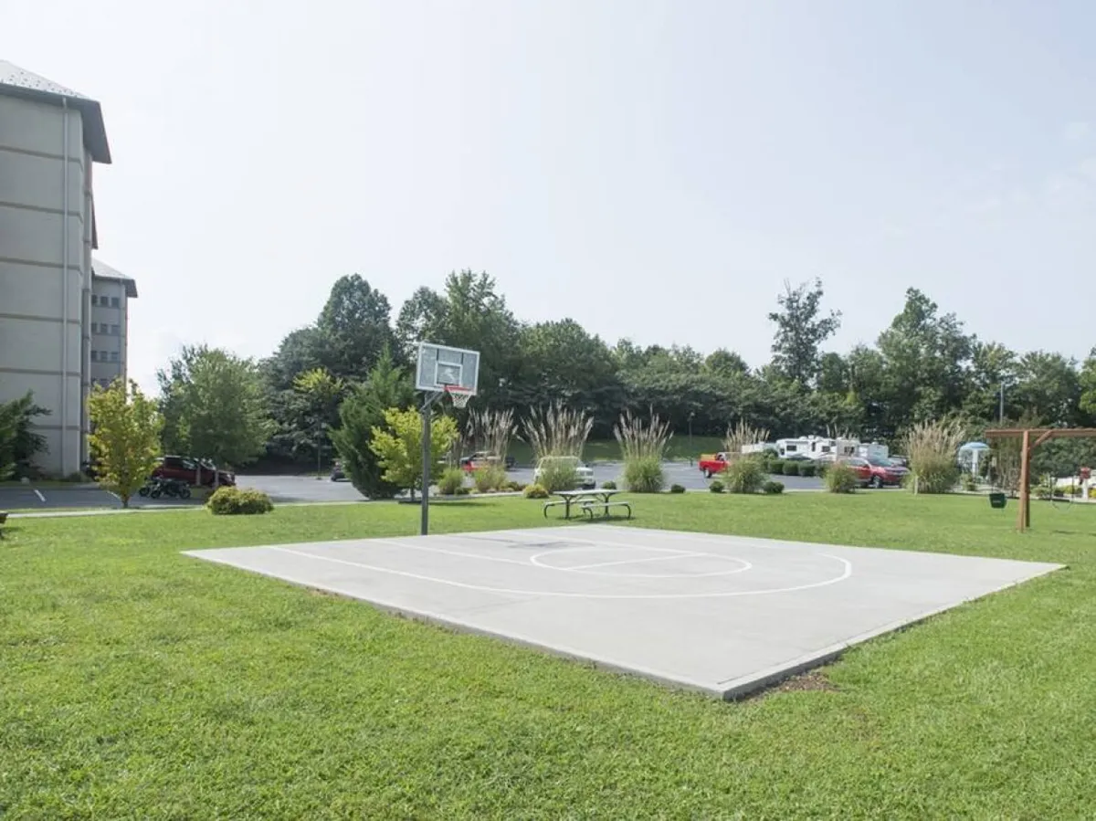 A vibrant exterior scene featuring a basketball hoop and smooth concrete court surrounded by lush green grass and mature trees. The area is designed for energetic activities and casual outdoor gatherings, ideal for sports and family tournaments.